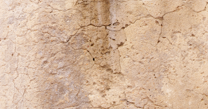 שירות עם אחריות: איך פתרו לי בעיה של נזילה בבית מבלי לשבור קירות